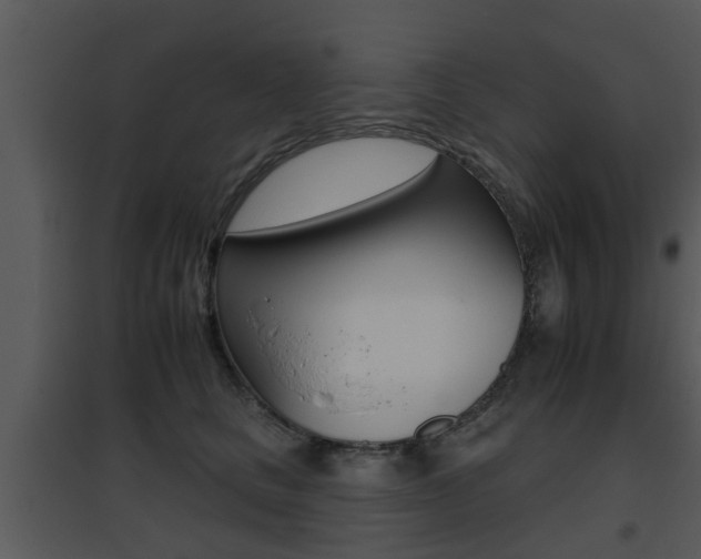 X0000095670661200801081041