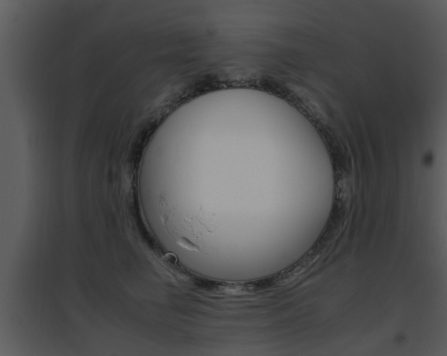 X0000095670662200801081041