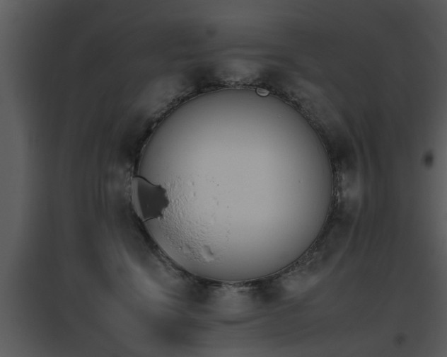 X0000095670664200801081041