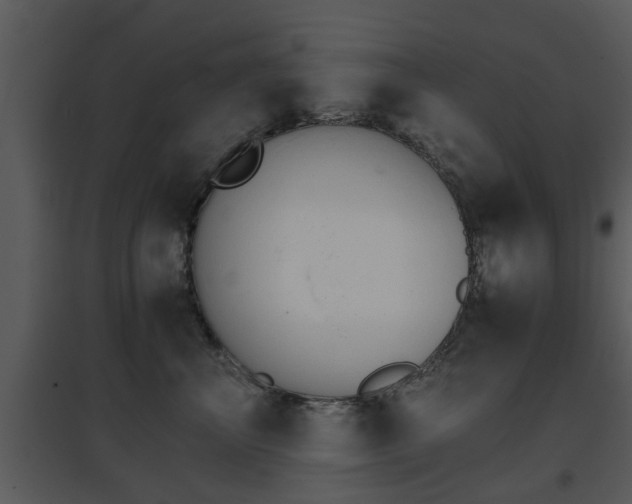 X0000095670667200801081041
