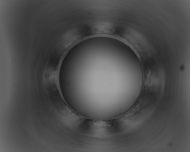 X0000095670669200801081041
