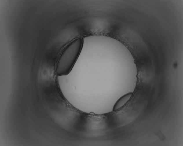 X0000095670671200801081041