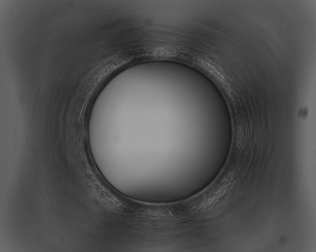 X0000095670673200801081040