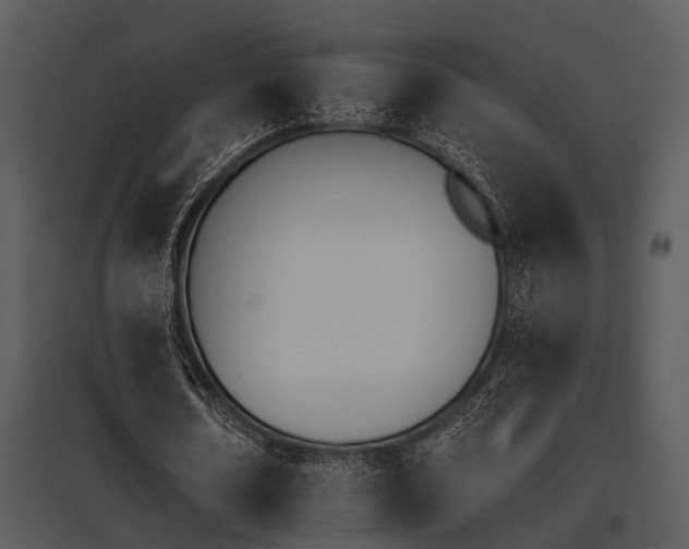 X0000095670674200801081040