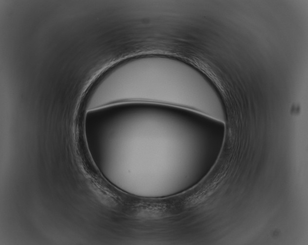 X0000095670676200801081040
