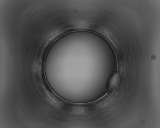 X0000095670677200801081040