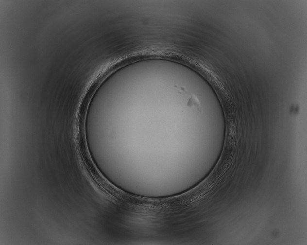 X0000095670678200801081040