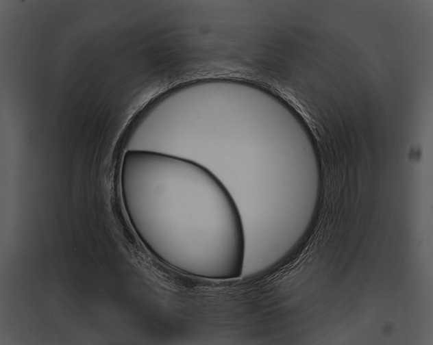 X0000095670679200801081040