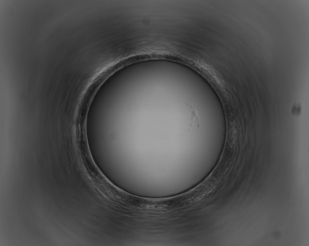 X0000095670680200801081040