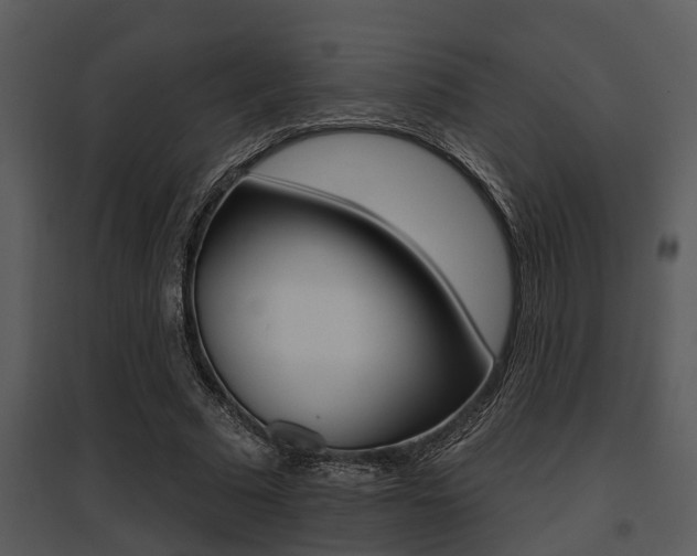X0000095670681200801081040