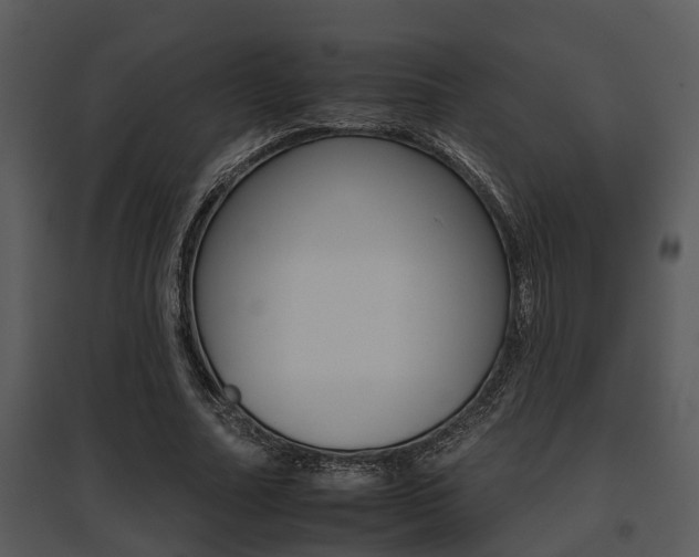 X0000095670682200801081040