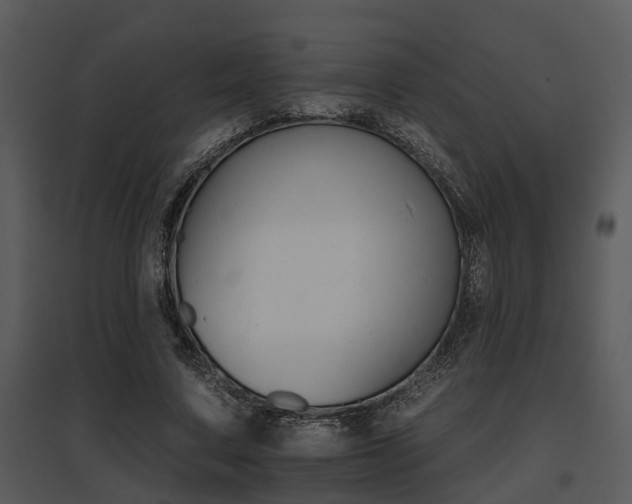 X0000095670683200801081040
