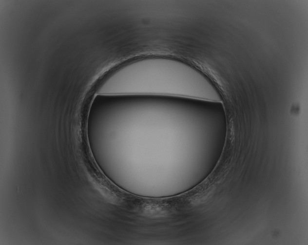 X0000095670684200801081040