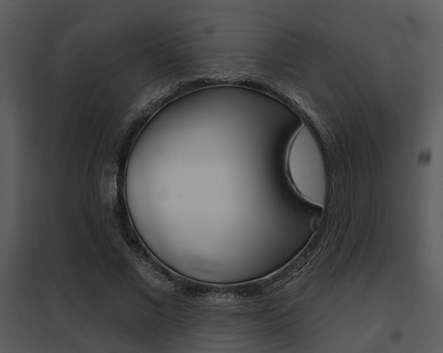 X0000095670685200801081040