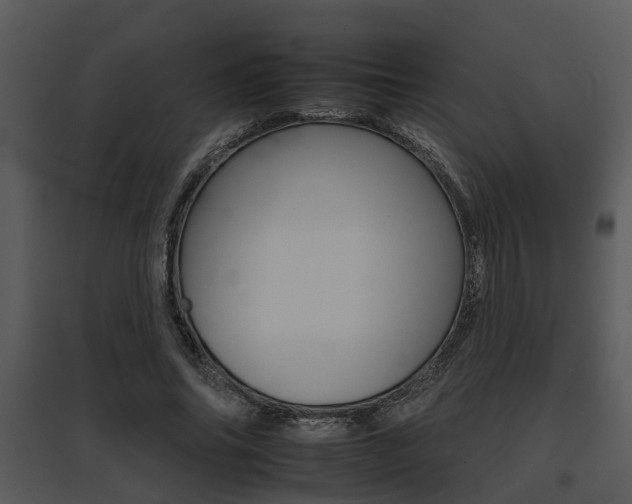 X0000095670686200801081040