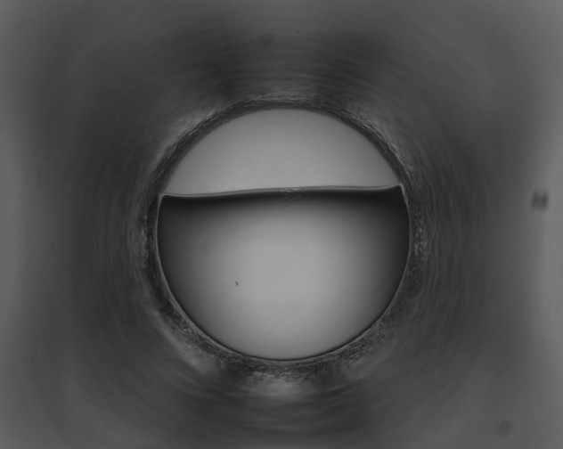 X0000095670688200801081040