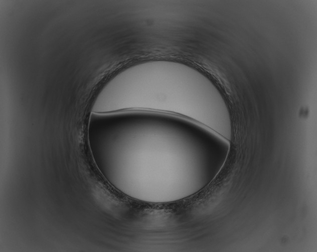 X0000095670689200801081040