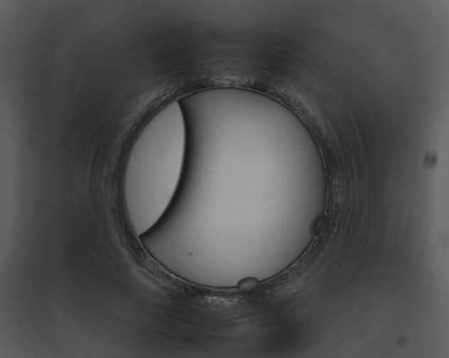 X0000095670690200801081040