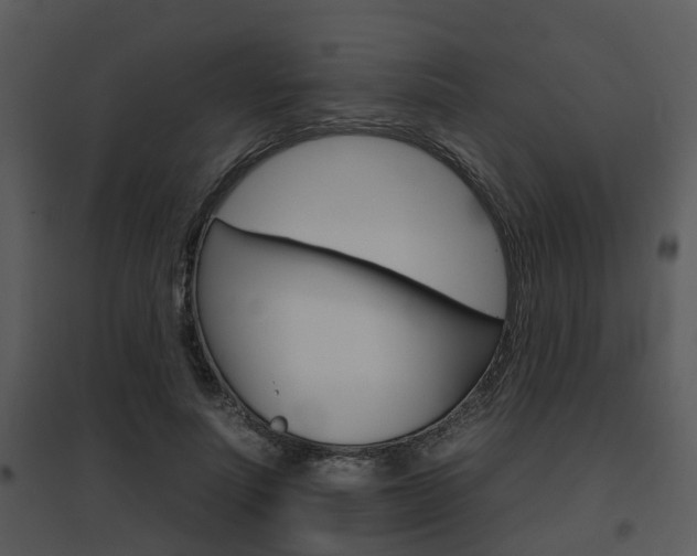 X0000095670691200801081040