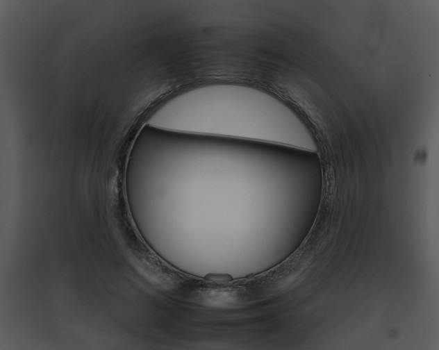 X0000095670692200801081040
