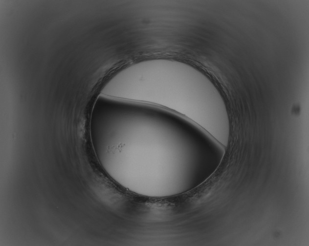 X0000095670693200801081040