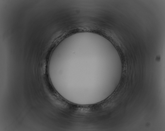 X0000095670694200801081040