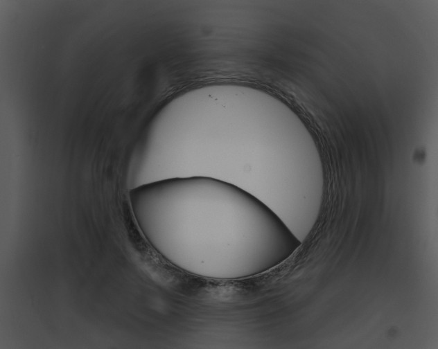 X0000095670695200801081040