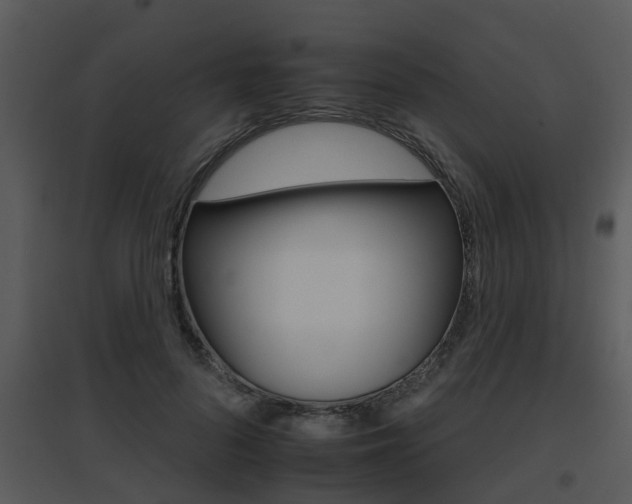 X0000095670696200801081040