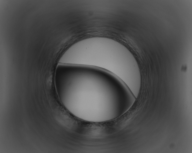 X0000095670697200801081040