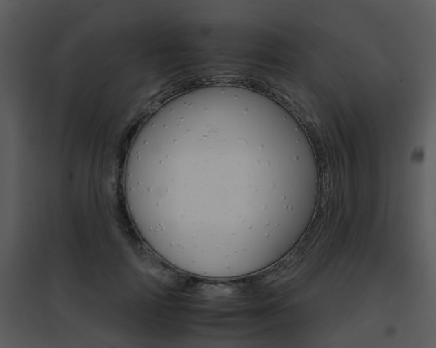 X0000095670698200801081039