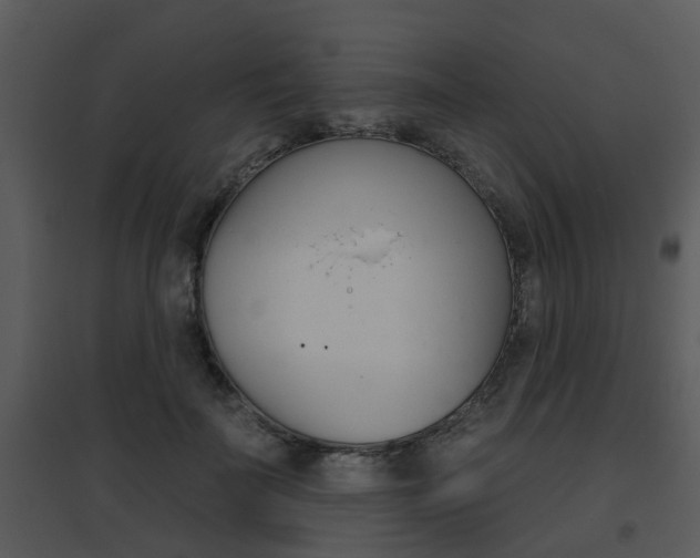 X0000095670699200801081039