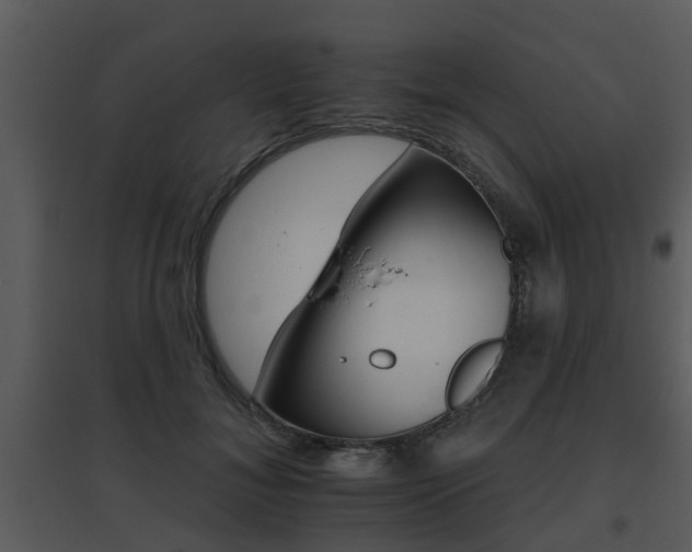 X0000095670700200801081039