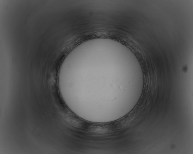 X0000095670702200801081039