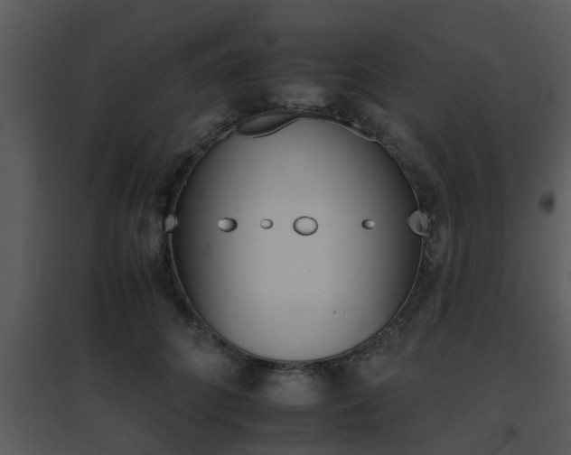 X0000095670704200801081039