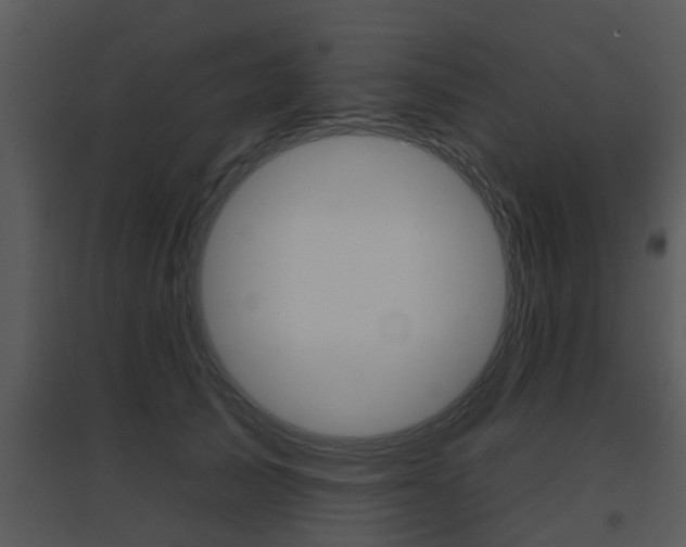 X0000095670705200801081039