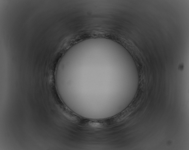 X0000095670706200801081039