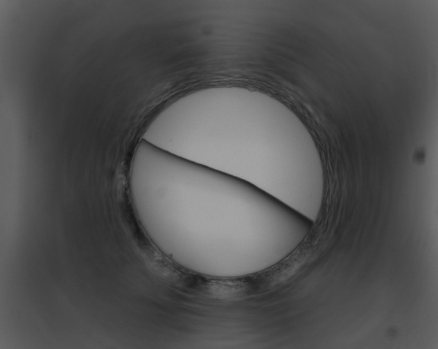 X0000095670707200801081039