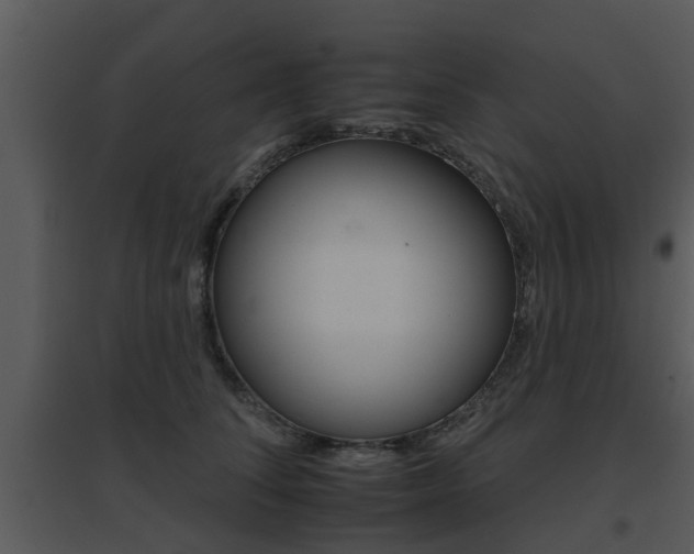 X0000095670708200801081039