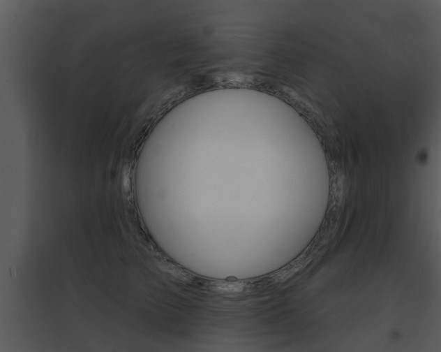 X0000095670709200801081039