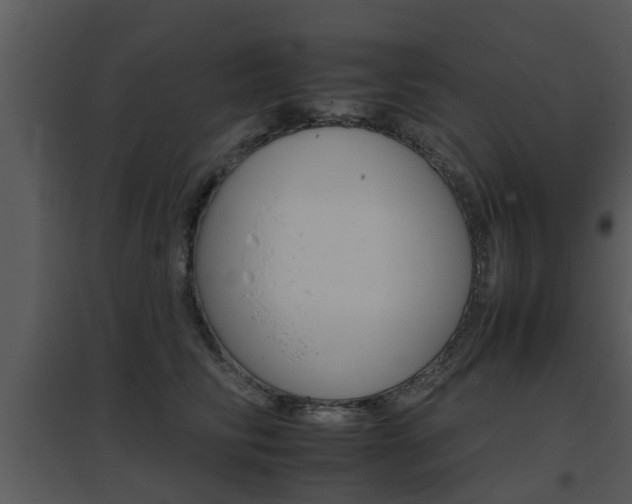 X0000095670710200801081039
