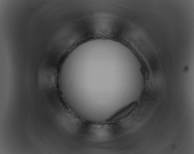 X0000095670712200801081039