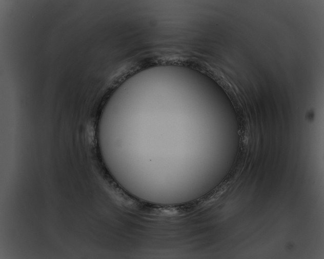 X0000095670715200801081039