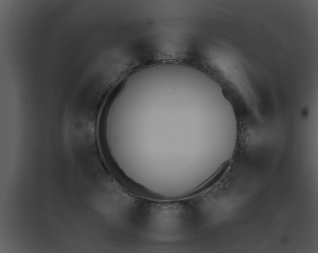 X0000095670716200801081039