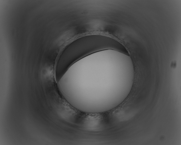 X0000095670720200801081039