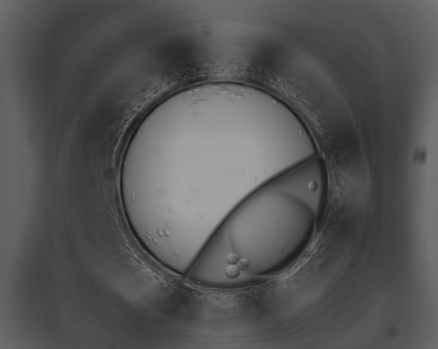 X0000095670721200801081038