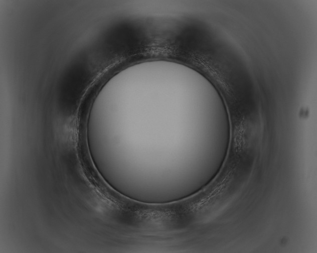 X0000095670722200801081038