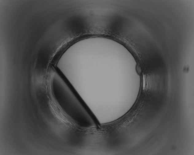 X0000095670723200801081038