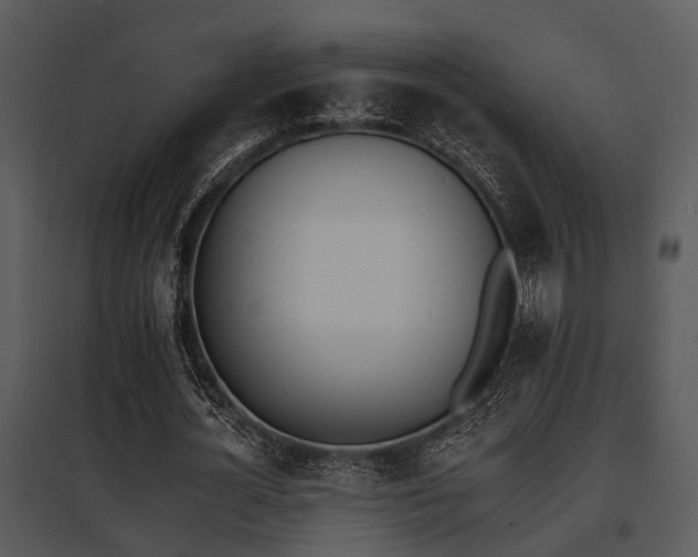X0000095670724200801081038