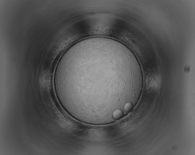 X0000095670725200801081038