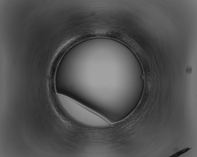 X0000095670728200801081038